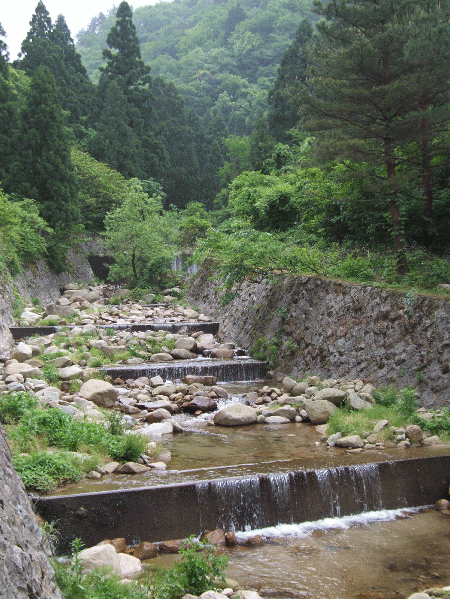 川沿いの道