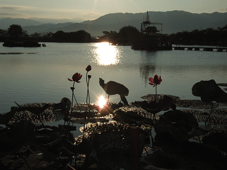 朝日を浴びる瓢湖